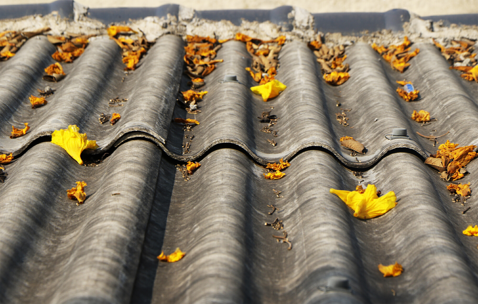 云南省文化和旅游厅