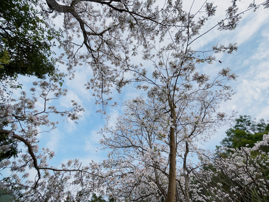 云南省文化和旅游厅