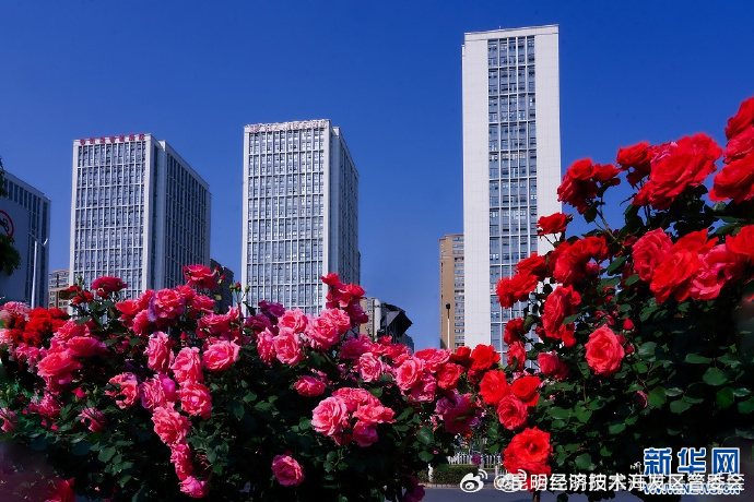 昆明经济技术开发区管委会
