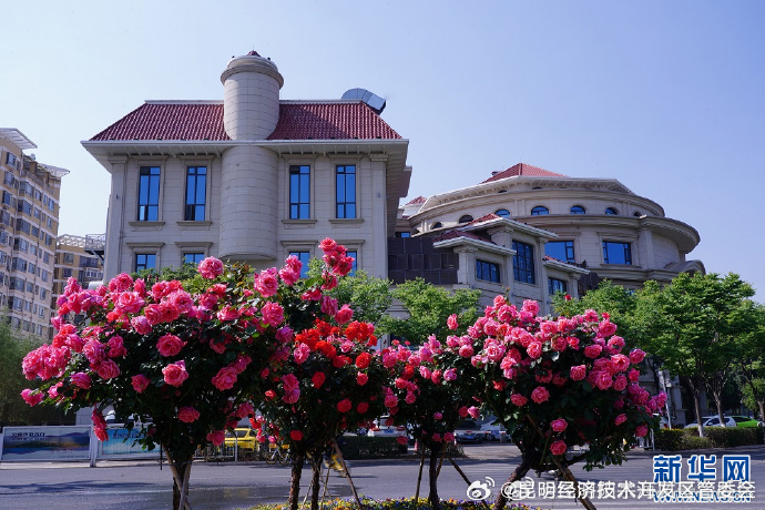 昆明经济技术开发区管委会