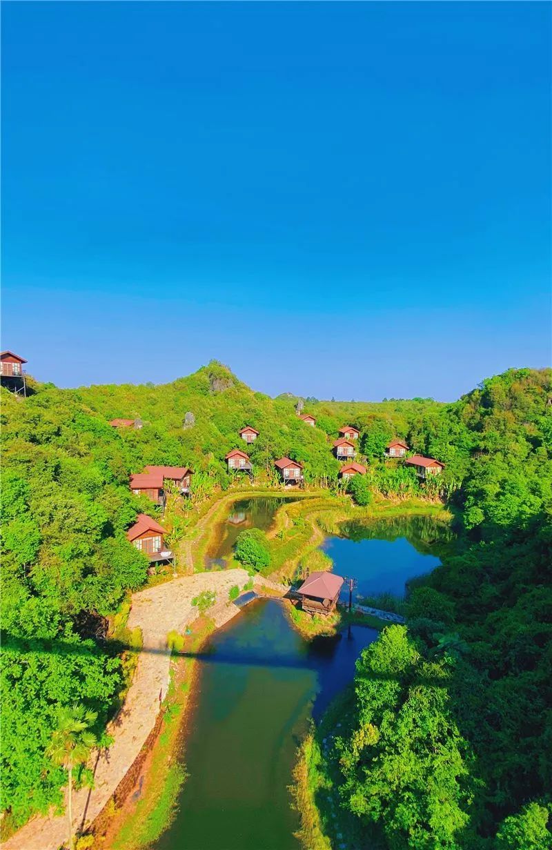 云南省文化和旅游厅