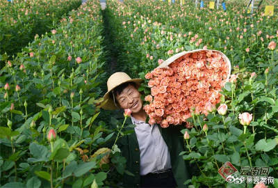 呈贡发布