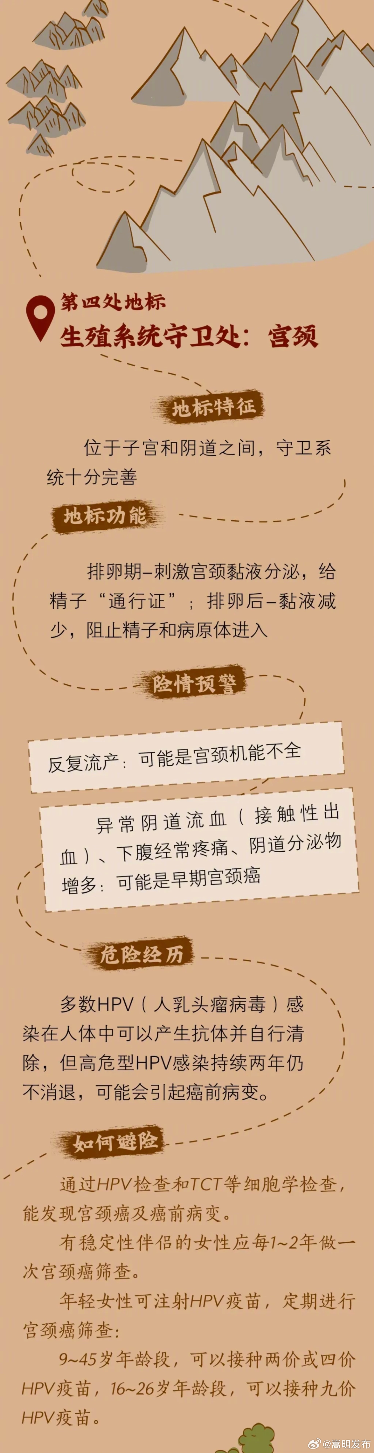 女性生殖系统历险地图_http://www.mainten.cn_ycb_第4张
