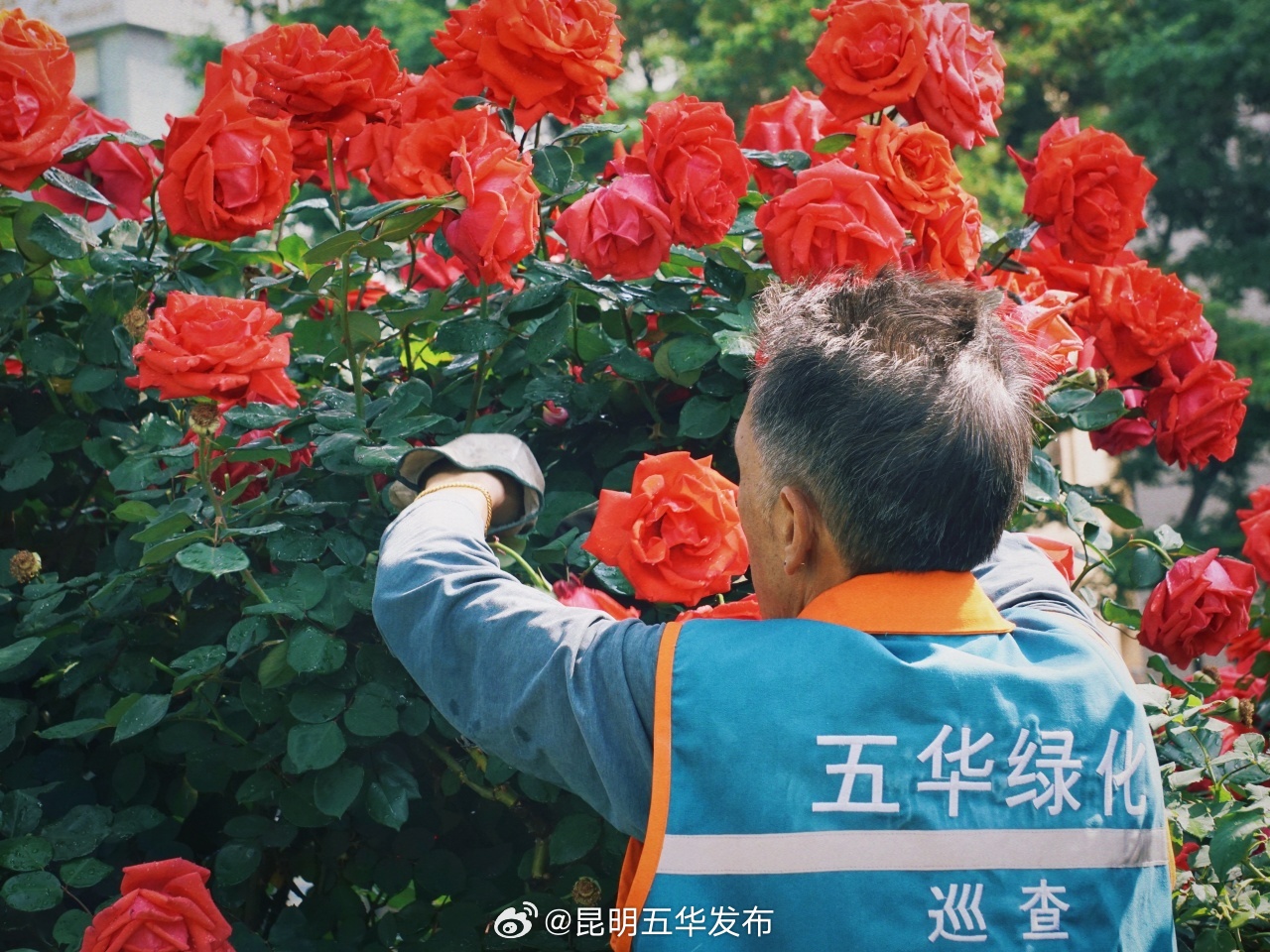 昆明五华发布