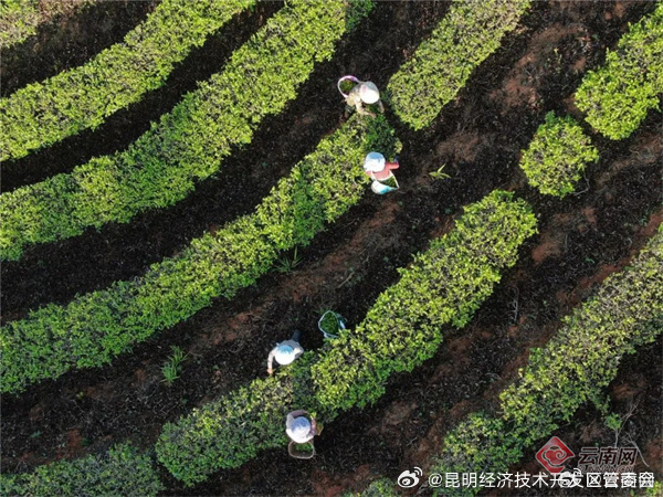 昆明经济技术开发区管委会