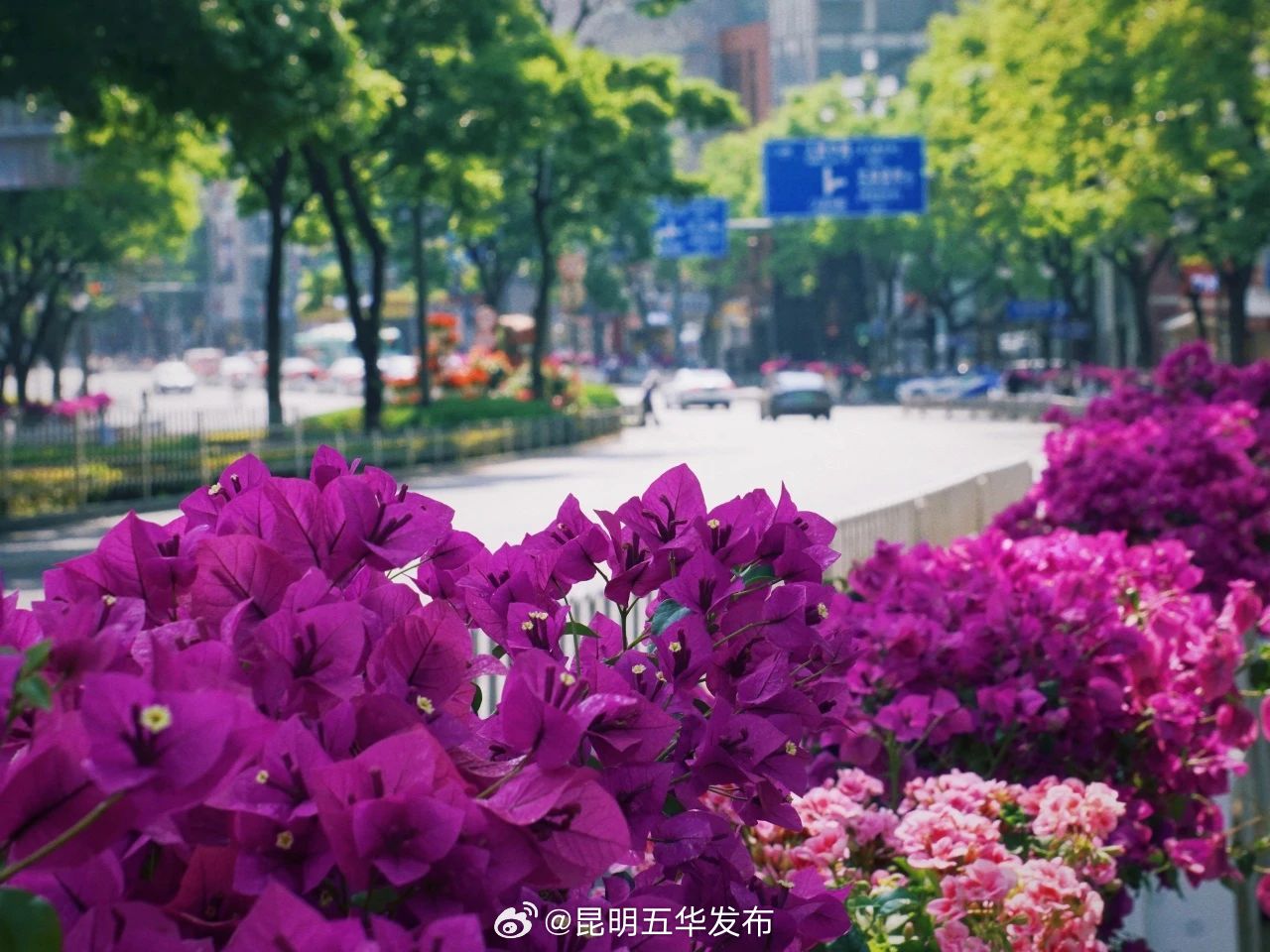 昆明五华发布