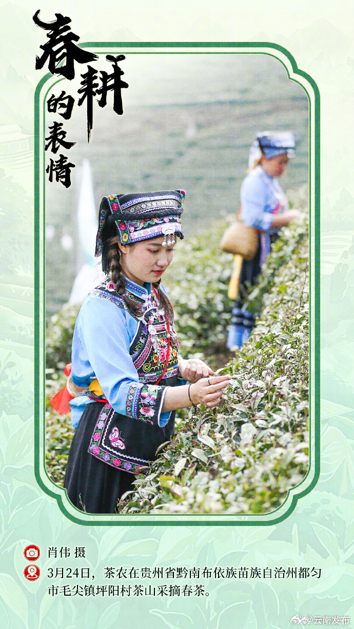 云南发布