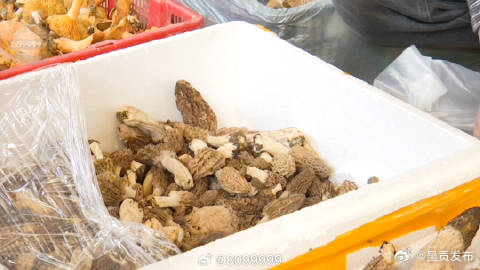 呈贡发布