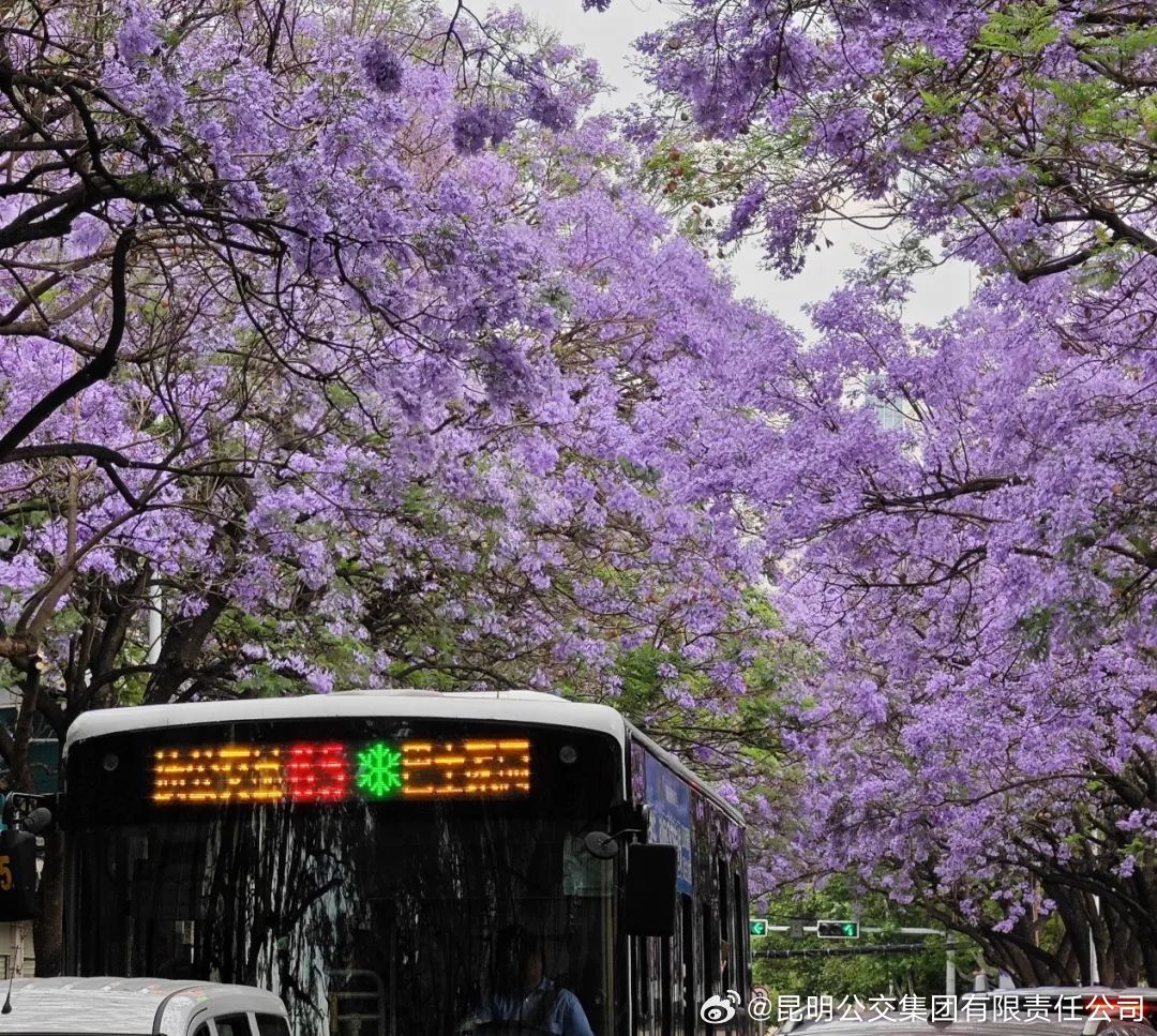 昆明公交集团有限责任公司