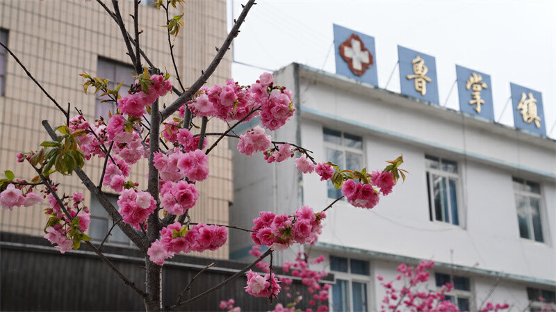 云南省文化和旅游厅