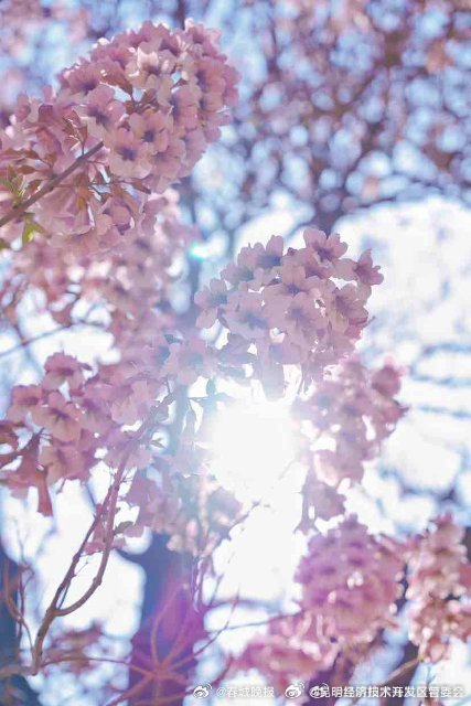 昆明经济技术开发区管委会