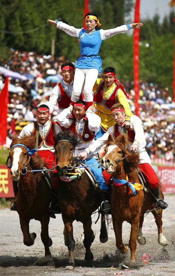 云南省文化和旅游厅