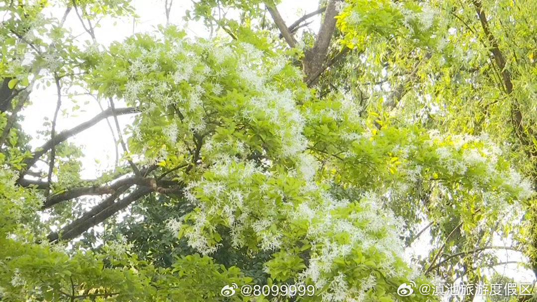 滇池旅游度假区