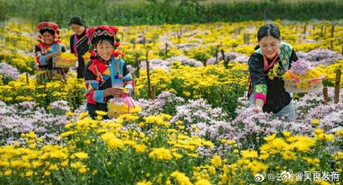 多措并举！云南推进高原特色农业领域技能促增收试点工作