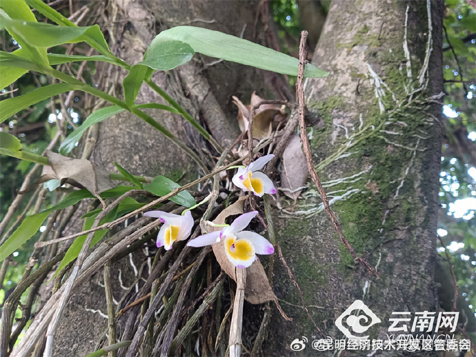 昆明经济技术开发区管委会