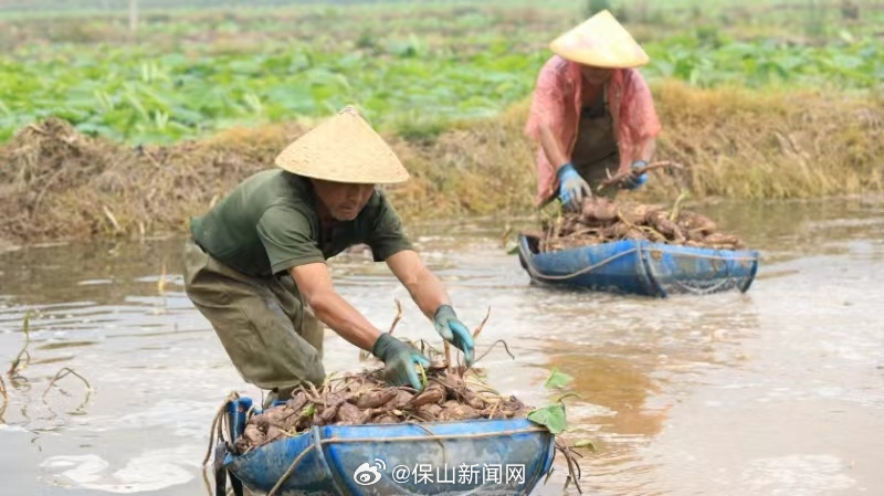 保山新闻网