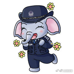 云南曲靖交警