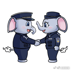 云南曲靖交警