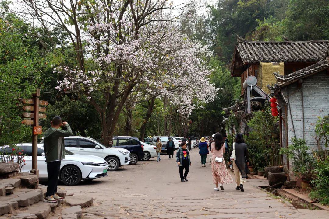 云南省文化和旅游厅