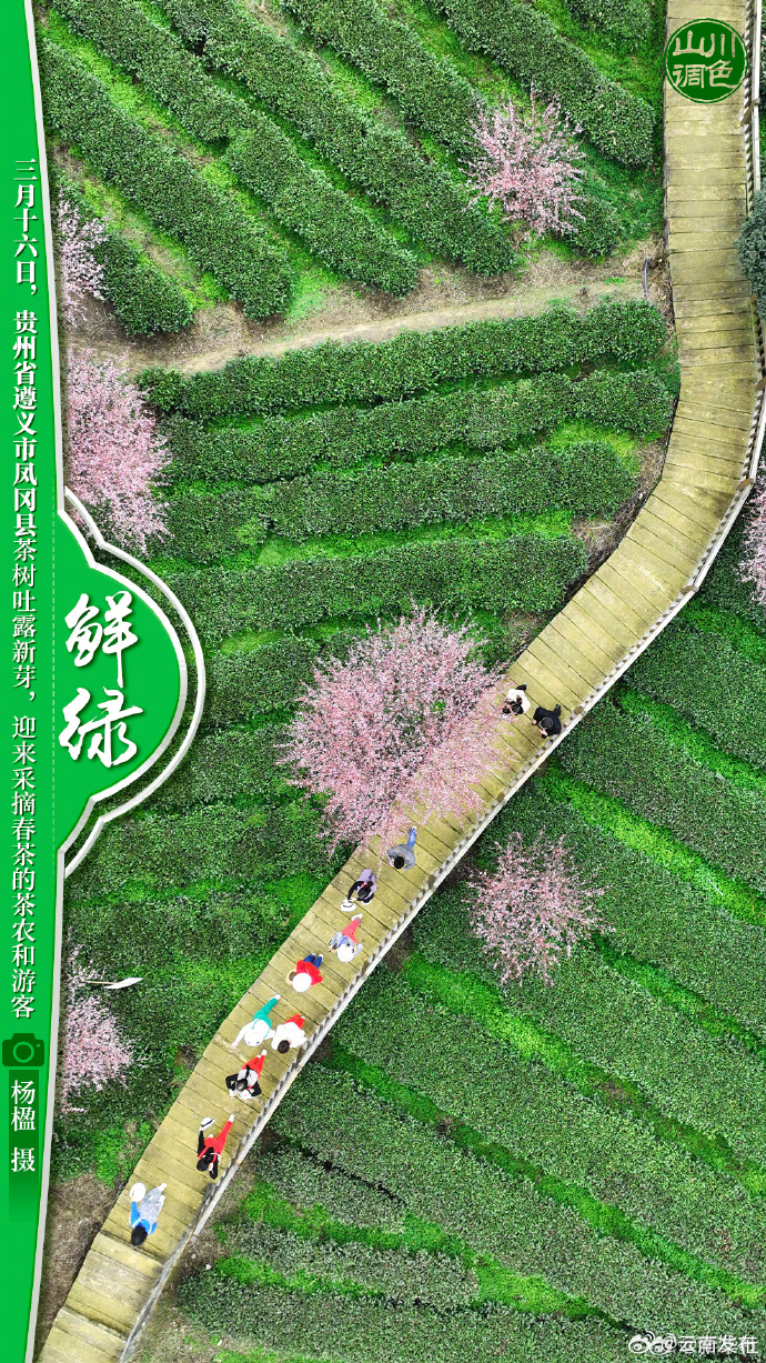 云南发布