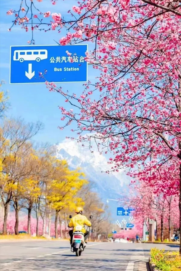 云南省文化和旅游厅