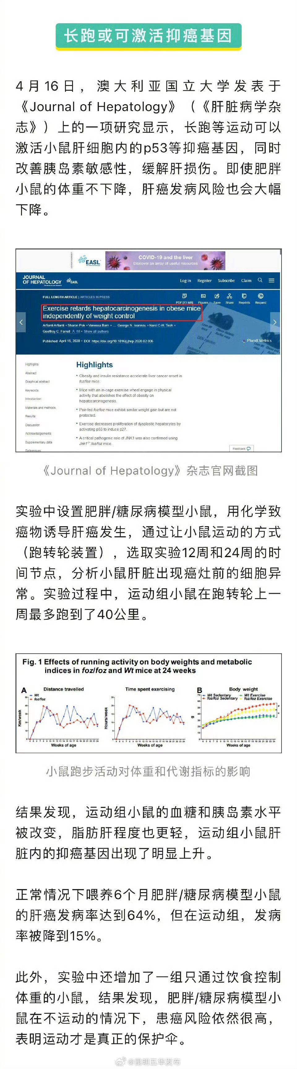 跑步坚持多久能达到锻炼效果_http://www.mainten.cn_ycb_第1张