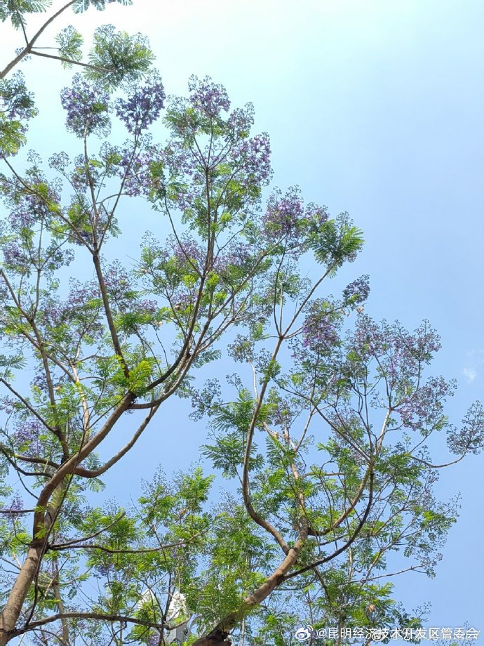 昆明经济技术开发区管委会