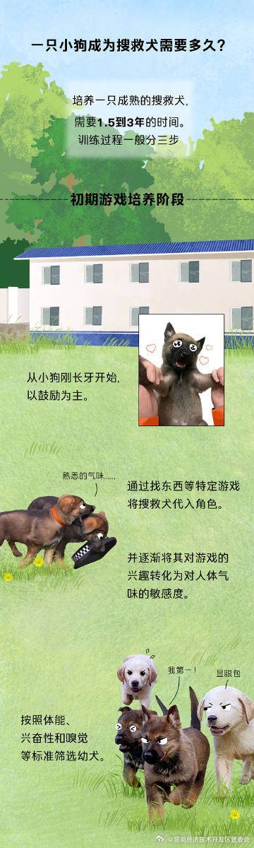 搜救犬的职责不只有震后搜救，还有水上救援、雪上搜救......_http://www.mainten.cn_ycb_第4张