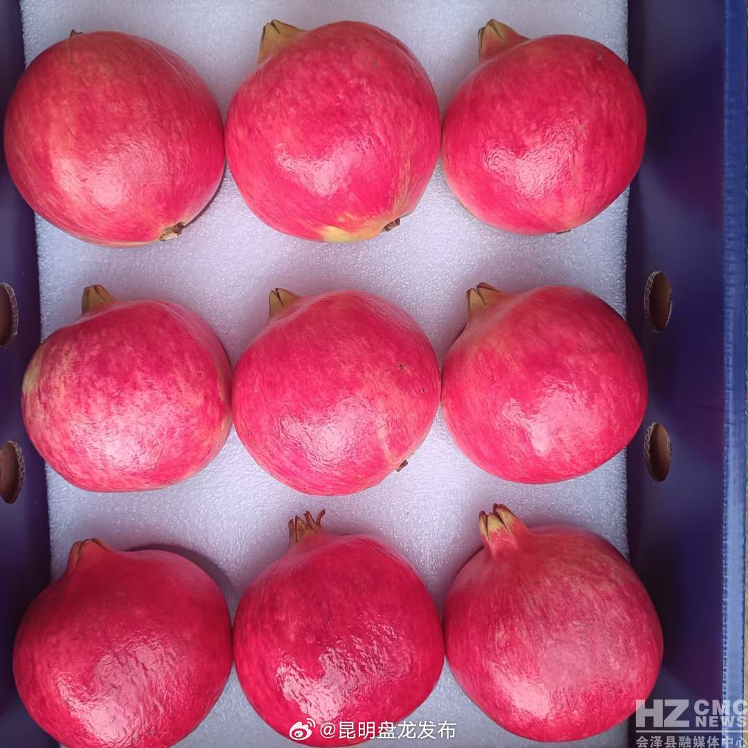 昆明盘龙发布