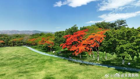 截至3月，全省苗木总数量达9.08亿株