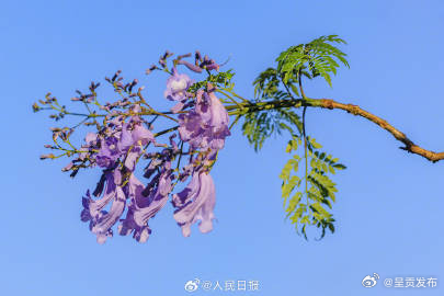 呈贡发布