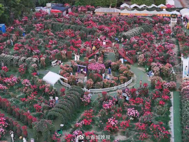 春城晚报