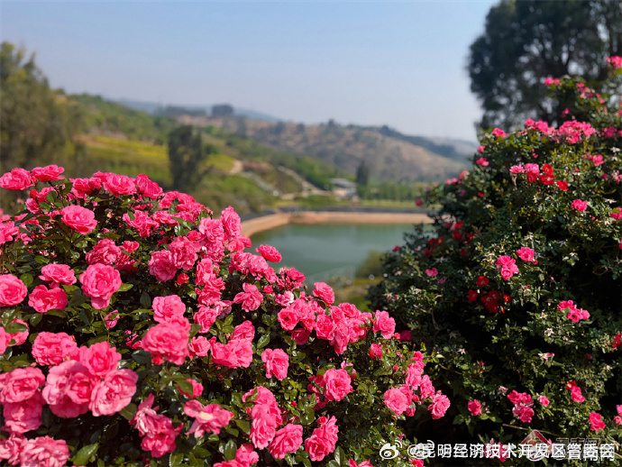 昆明经济技术开发区管委会