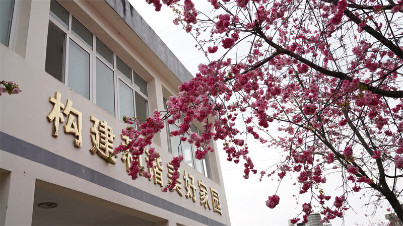 云南省文化和旅游厅