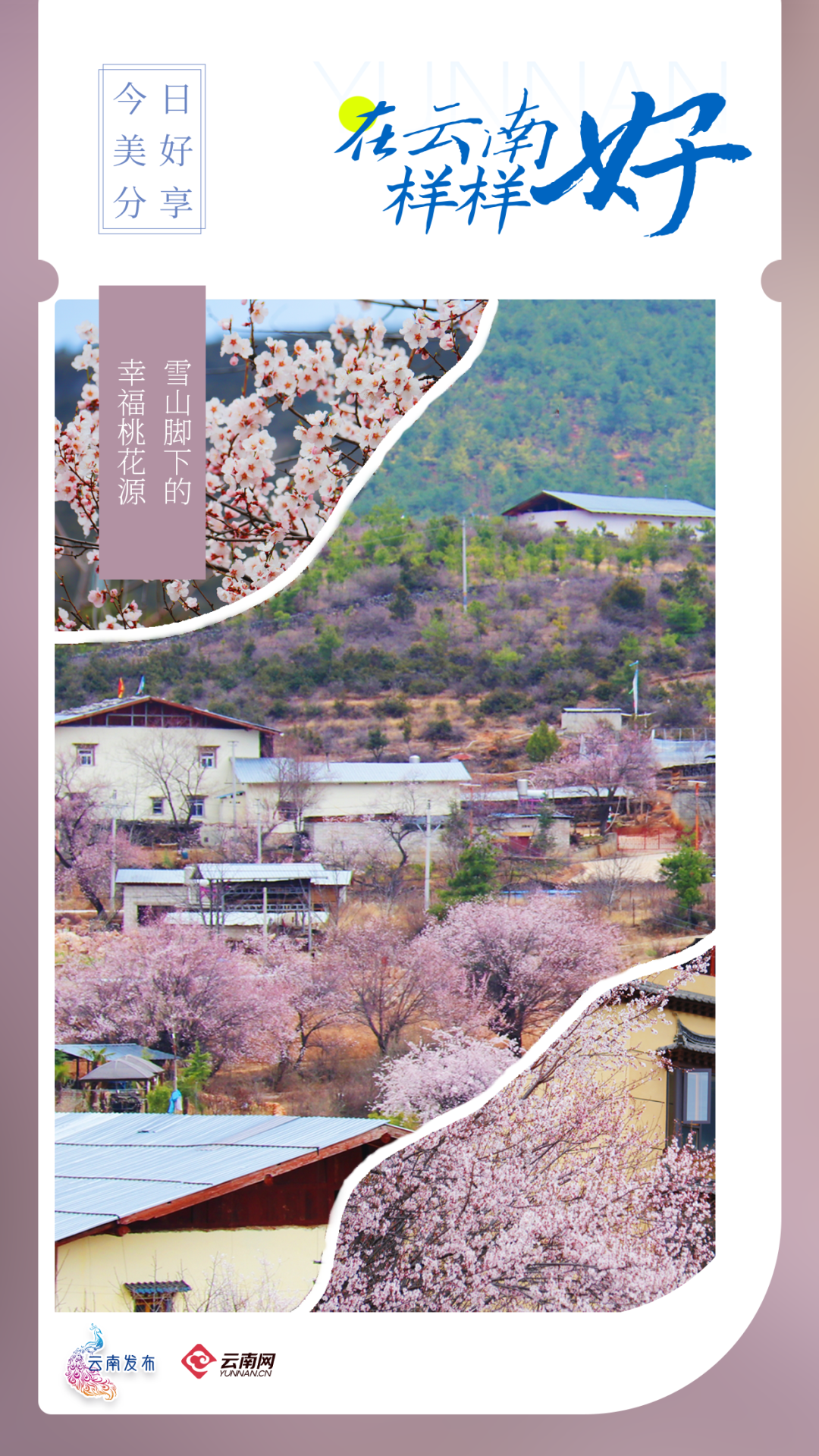 云南省文化和旅游厅