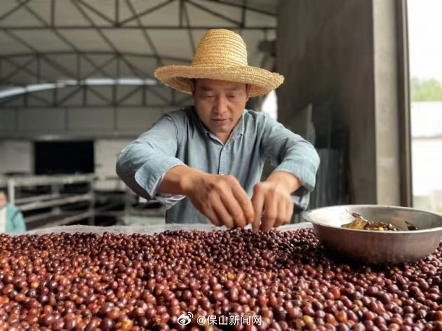 张开尚：一位咖农的田园回归