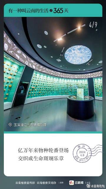 有一种叫云南的生活之365天｜4月9日 来云南 开启通往亿万年前的“时光隧道”