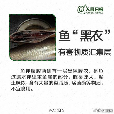 嵩明发布