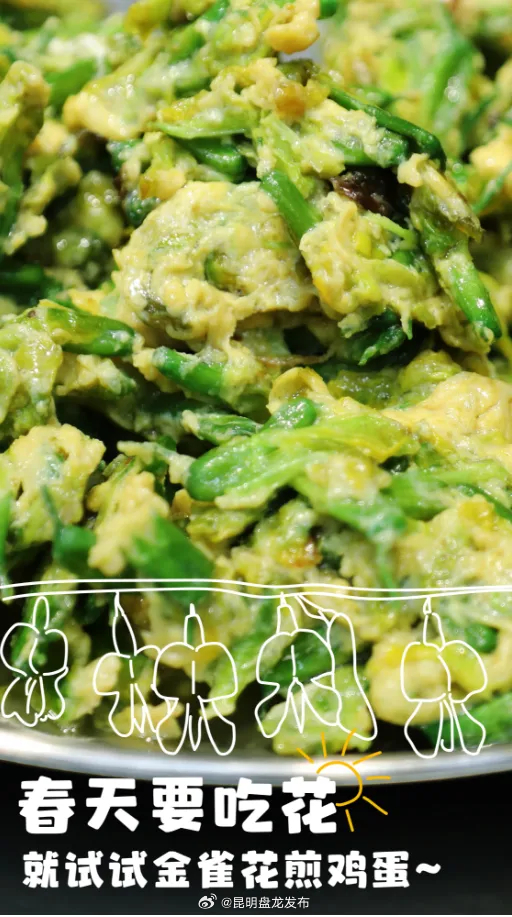 尝一口春天的滋味——金雀花煎蛋
