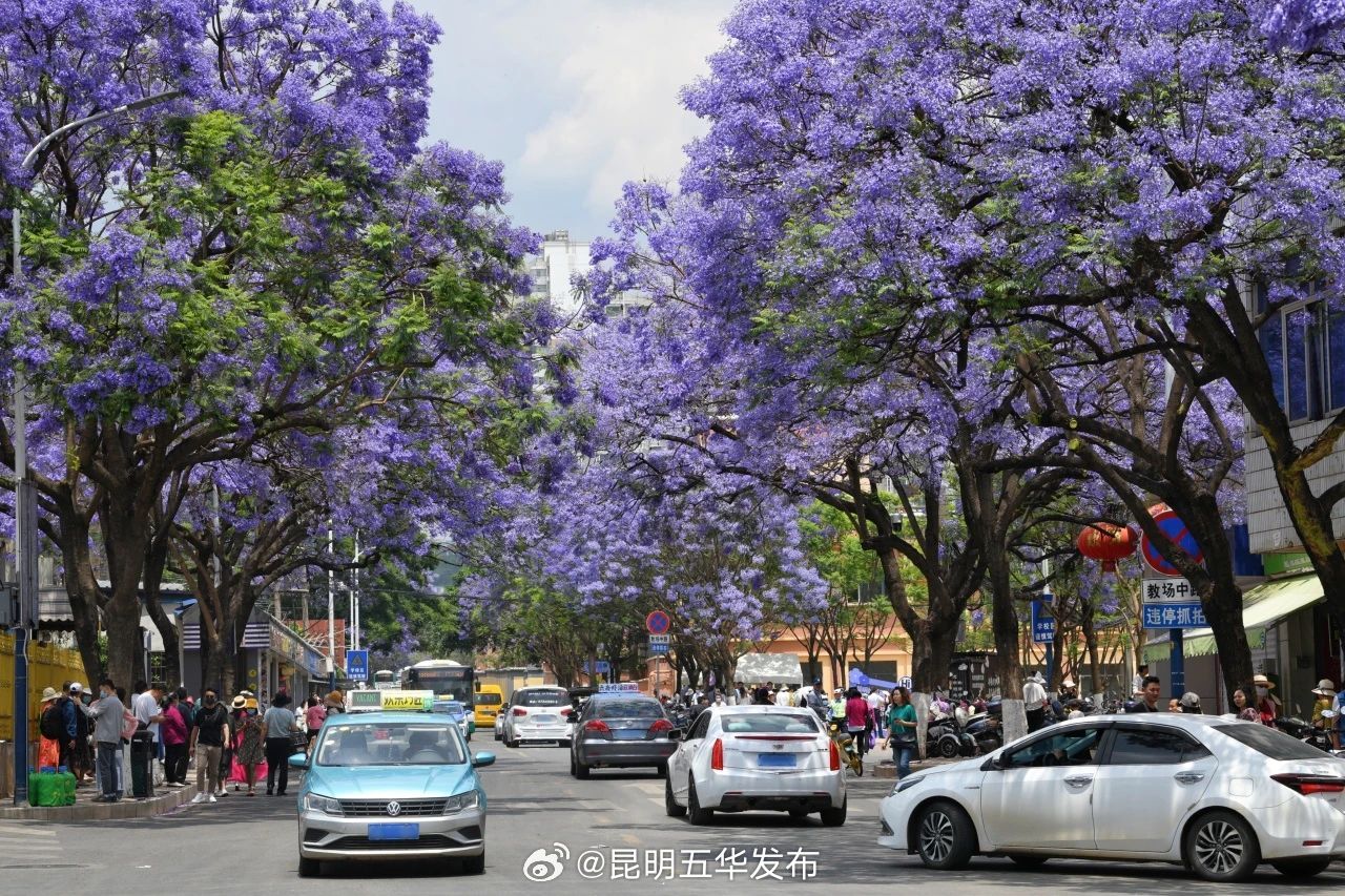 昆明五华发布