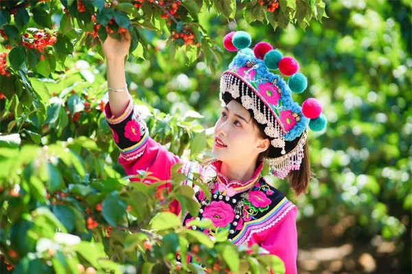 云南省文化和旅游厅