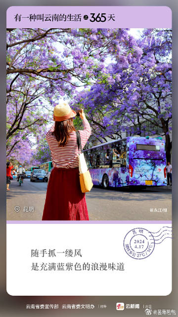 有一种叫云南的生活之365天｜4月17日 昆明“顶流”蓝花楹上线！