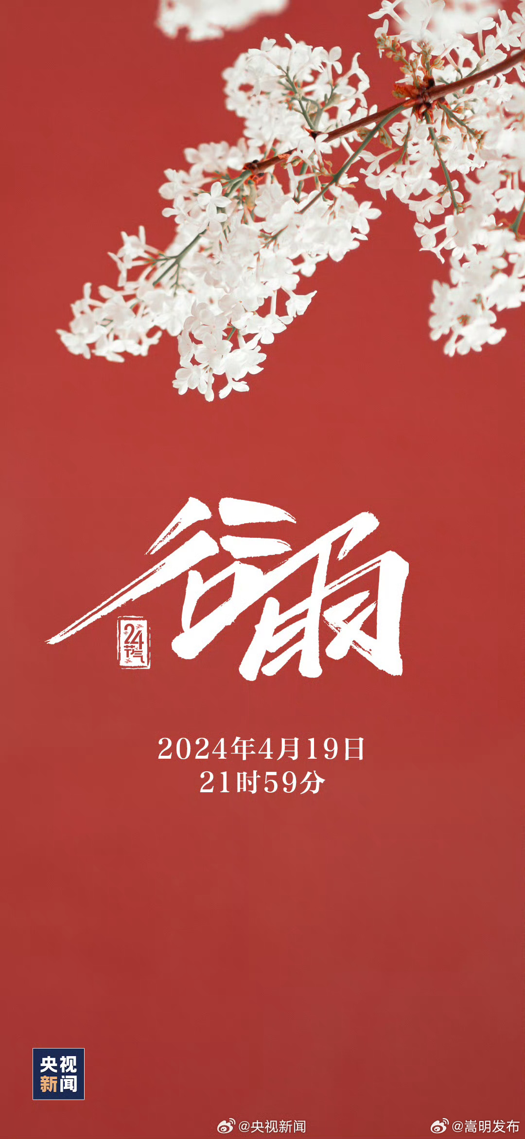 嵩明发布