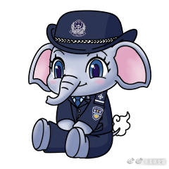 云南曲靖交警