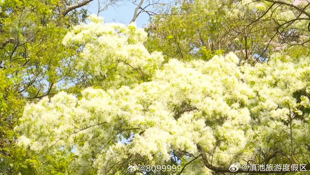 滇池旅游度假区