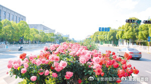 昆明经济技术开发区管委会