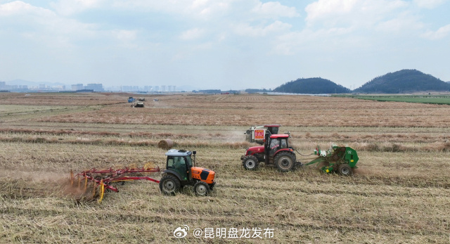 罗平：秸秆打包“捆草成金” 生态离田“变废为宝”