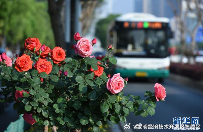 昆明经济技术开发区管委会