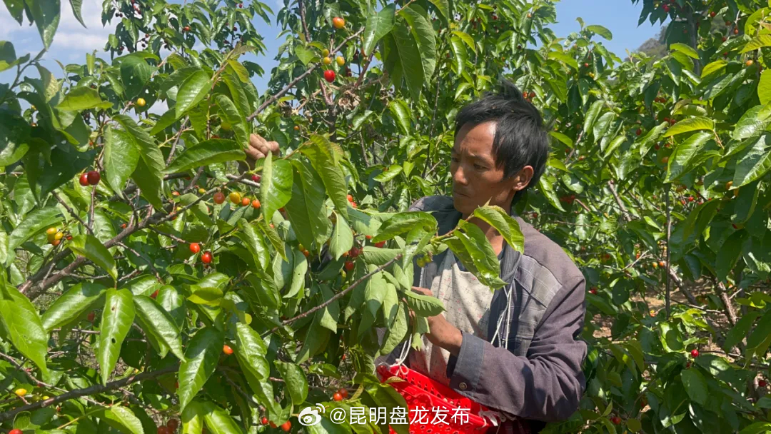 昆明盘龙发布