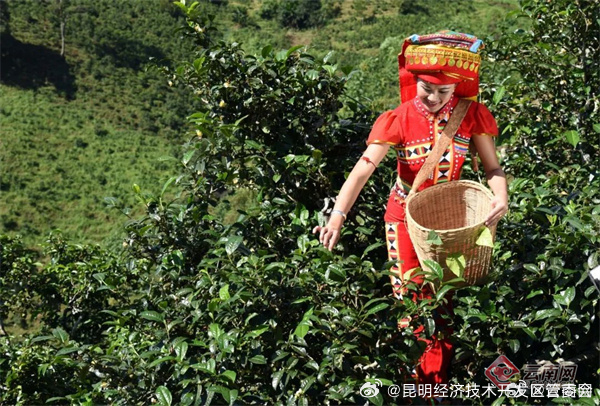 昆明经济技术开发区管委会